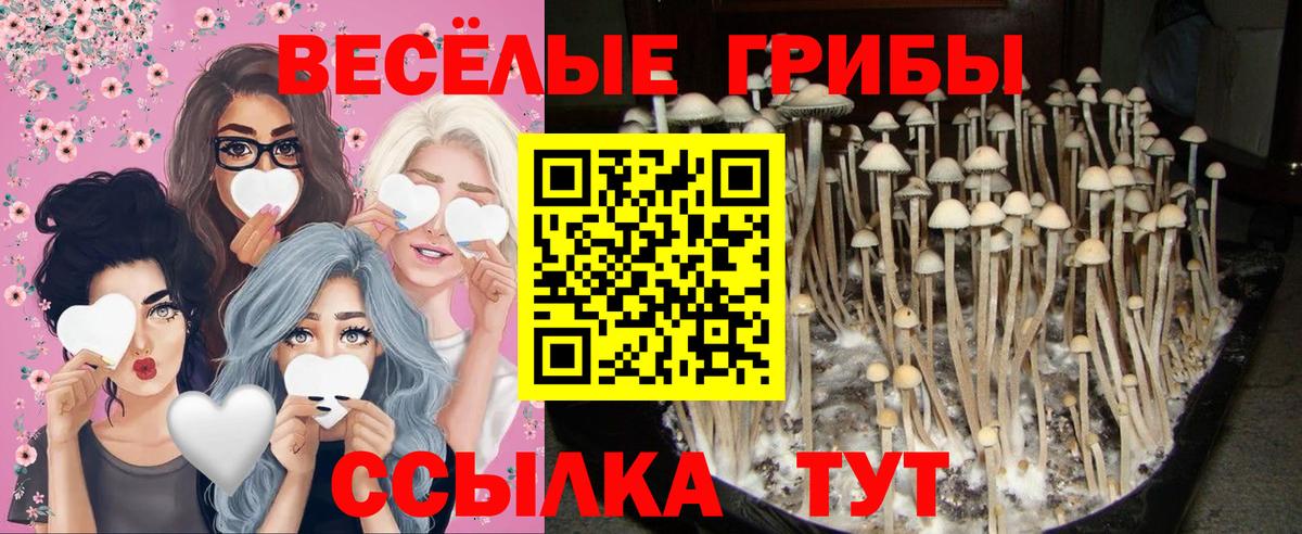 Галлюциногенные грибы прущие грибы Куйбышев