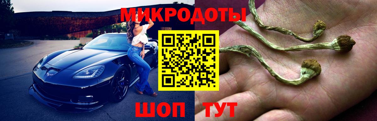 Куйбышев  Псилоцибиновые грибы Psilocybine cubensis  Вход с VPN 